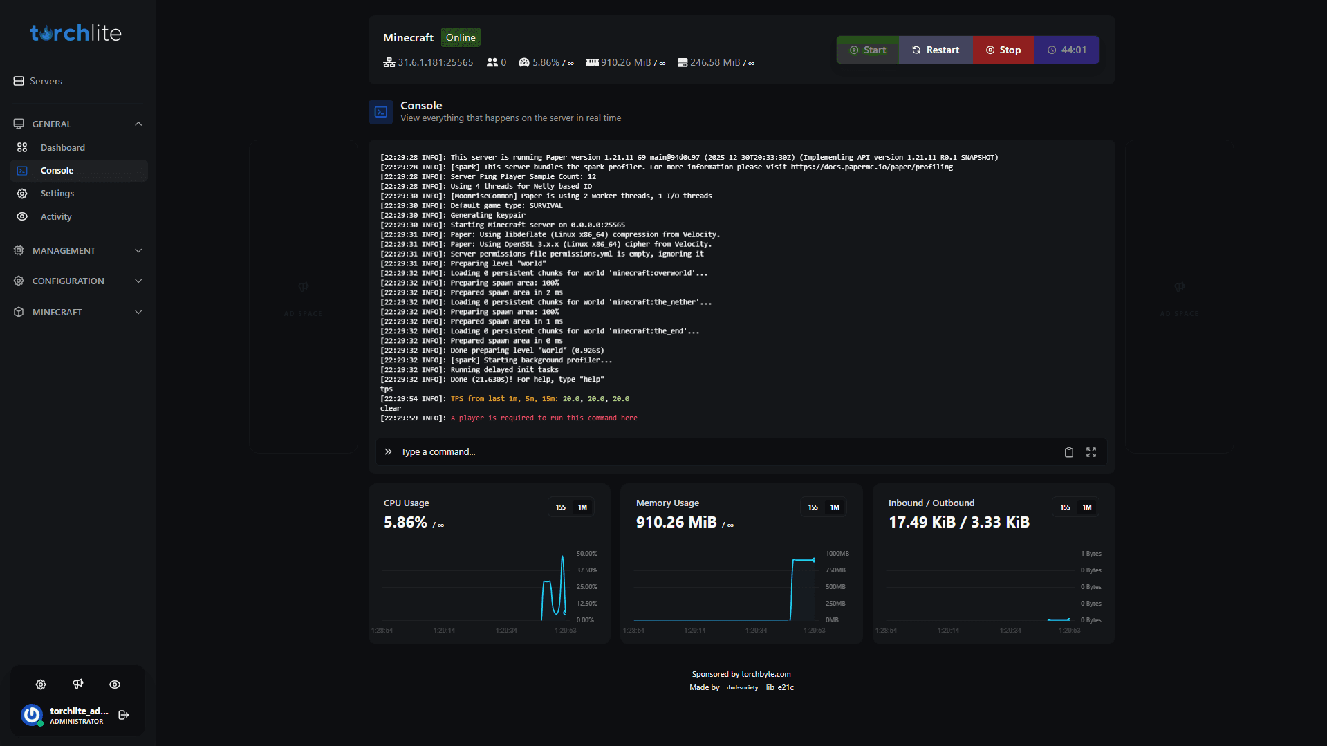 The Torchlite panel — live server console