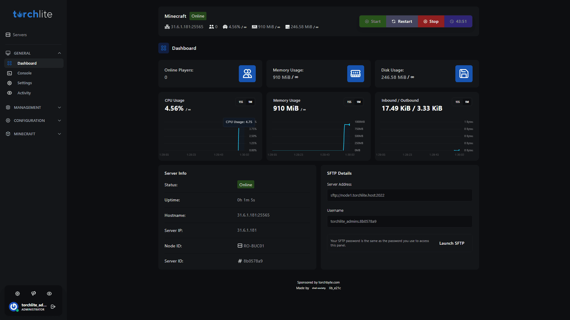The Torchlite panel — server dashboard with live resource graphs and SFTP details